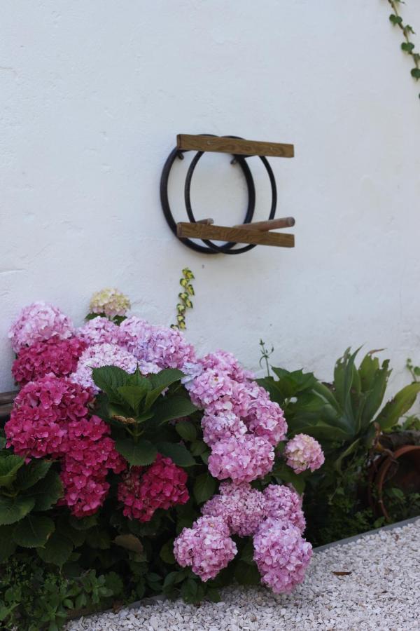 Ribeira Dos Marinheiros Azul Apartment Sintra Exterior photo